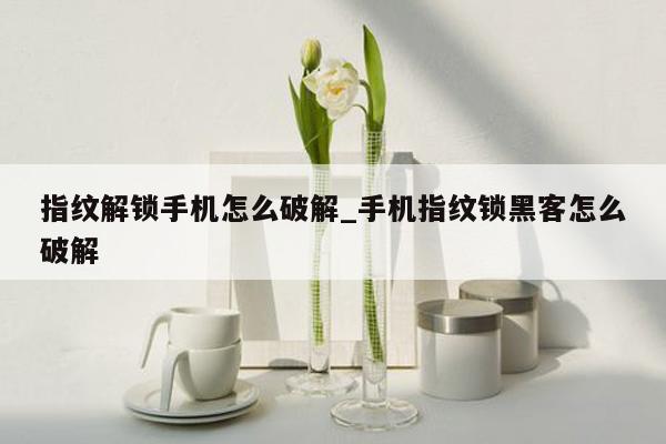 指纹解锁手机怎么破解_手机指纹锁黑客怎么破解