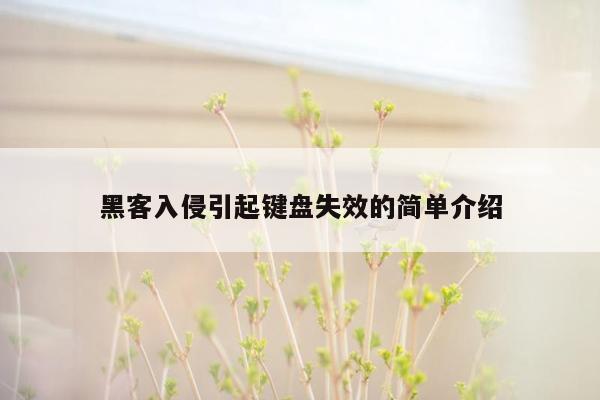 黑客入侵引起键盘失效的简单介绍