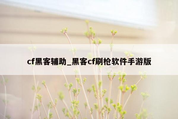 cf黑客辅助_黑客cf刷枪软件手游版