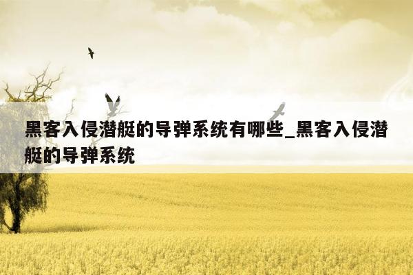 黑客入侵潜艇的导弹系统有哪些_黑客入侵潜艇的导弹系统