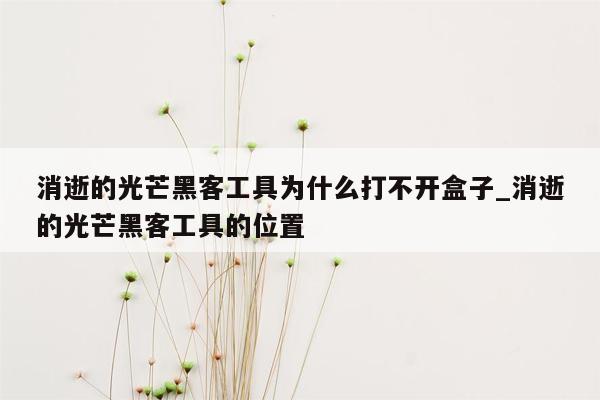 消逝的光芒黑客工具为什么打不开盒子_消逝的光芒黑客工具的位置