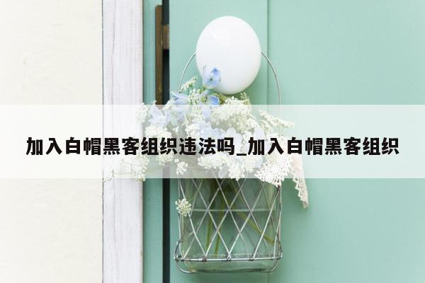 加入白帽黑客组织违法吗_加入白帽黑客组织