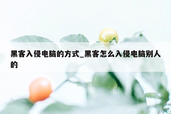 黑客入侵电脑的方式_黑客怎么入侵电脑别人的