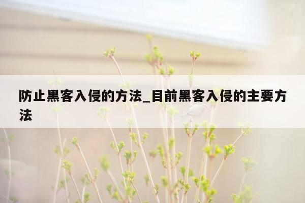 防止黑客入侵的方法_目前黑客入侵的主要方法