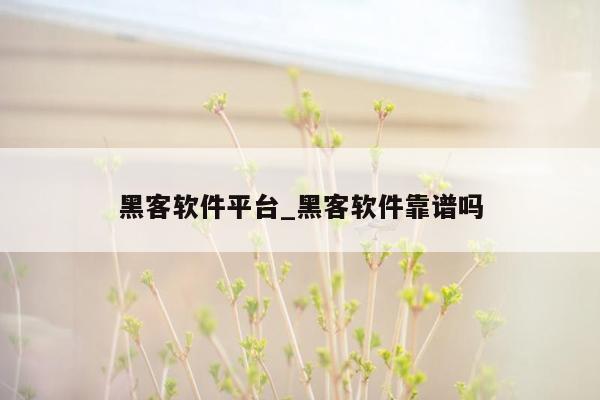 黑客软件平台_黑客软件靠谱吗