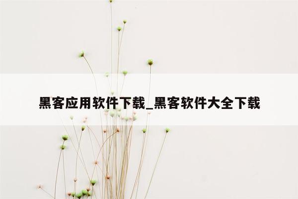 黑客应用软件下载_黑客软件大全下载