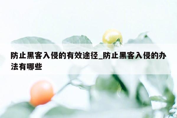 防止黑客入侵的有效途径_防止黑客入侵的办法有哪些