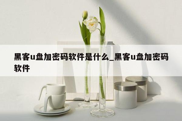 黑客u盘加密码软件是什么_黑客u盘加密码软件