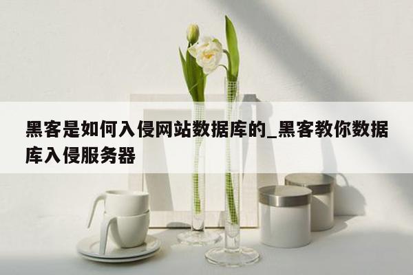 黑客是如何入侵网站数据库的_黑客教你数据库入侵服务器