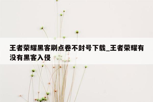 王者荣耀黑客刷点卷不封号下载_王者荣耀有没有黑客入侵