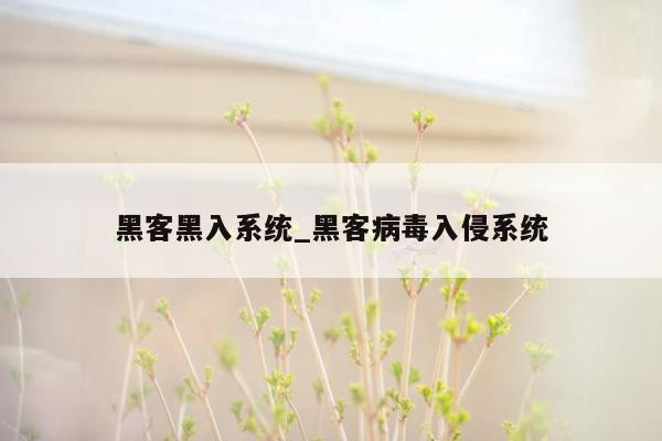 黑客黑入系统_黑客病毒入侵系统