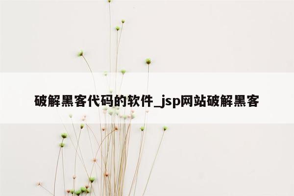 破解黑客代码的软件_jsp网站破解黑客