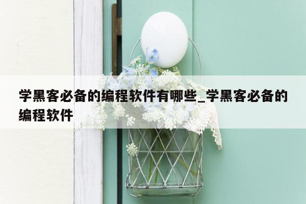 学黑客必备的编程软件有哪些_学黑客必备的编程软件