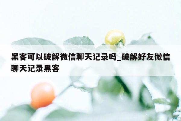 黑客可以破解微信聊天记录吗_破解好友微信聊天记录黑客