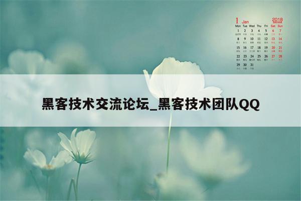 黑客技术交流论坛_黑客技术团队QQ