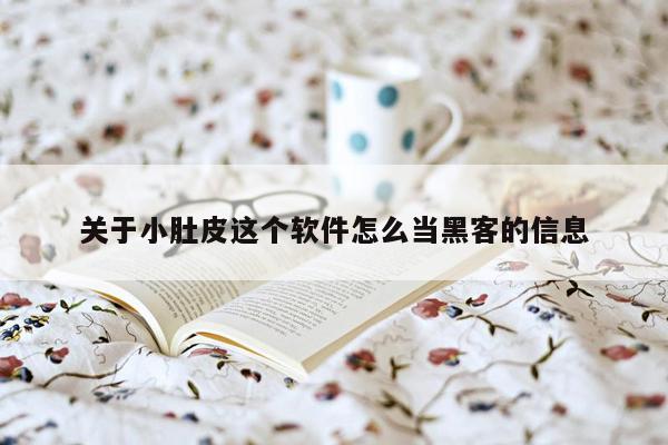 关于小肚皮这个软件怎么当黑客的信息