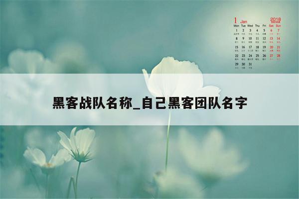 黑客战队名称_自己黑客团队名字