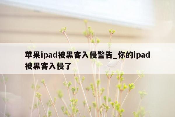 苹果ipad被黑客入侵警告_你的ipad被黑客入侵了