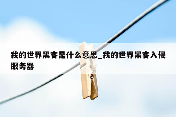 我的世界黑客是什么意思_我的世界黑客入侵服务器