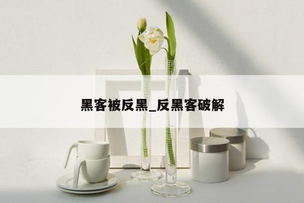 黑客被反黑_反黑客破解