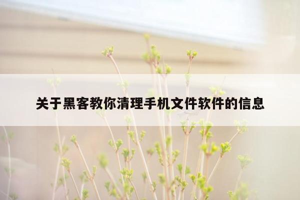 关于黑客教你清理手机文件软件的信息