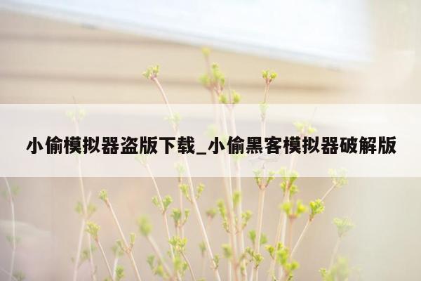 小偷模拟器盗版下载_小偷黑客模拟器破解版