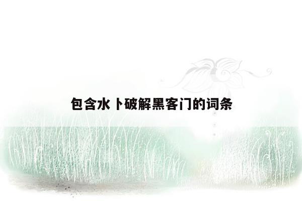 包含水卜破解黑客门的词条