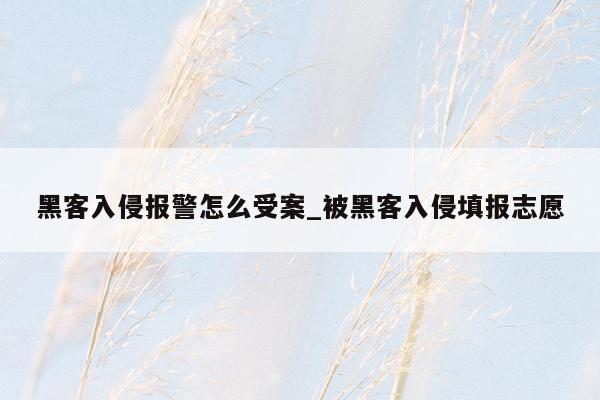 黑客入侵报警怎么受案_被黑客入侵填报志愿