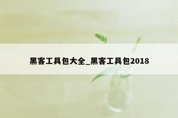 黑客工具包大全_黑客工具包2018