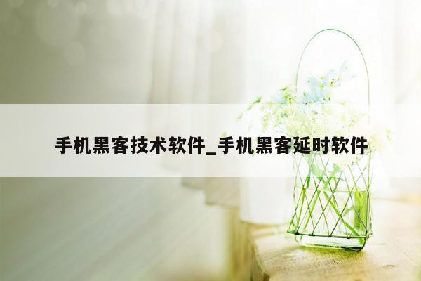 手机黑客技术软件_手机黑客延时软件