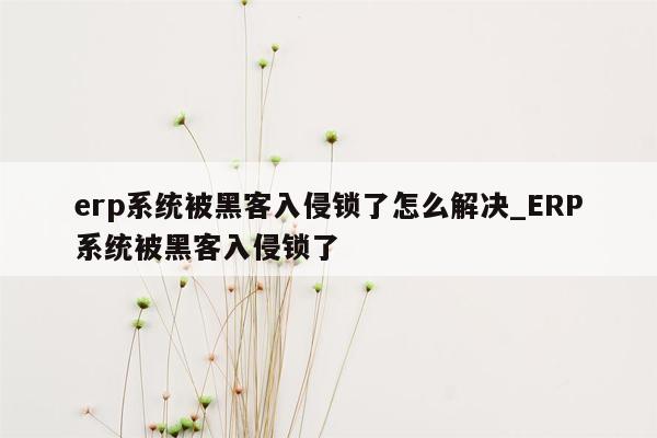 erp系统被黑客入侵锁了怎么解决_ERP系统被黑客入侵锁了