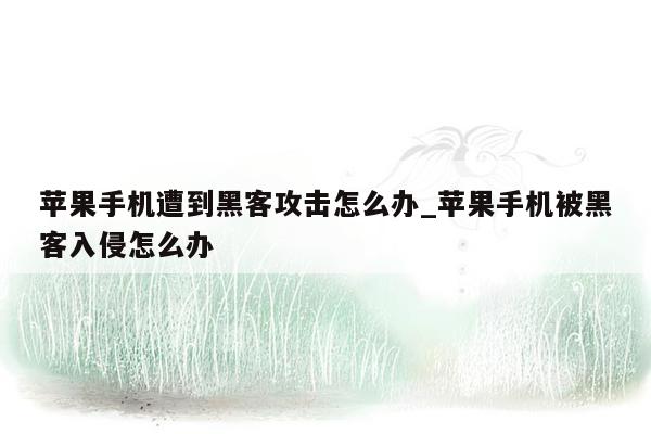 苹果手机遭到黑客攻击怎么办_苹果手机被黑客入侵怎么办