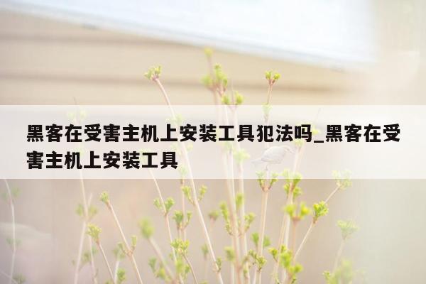 黑客在受害主机上安装工具犯法吗_黑客在受害主机上安装工具