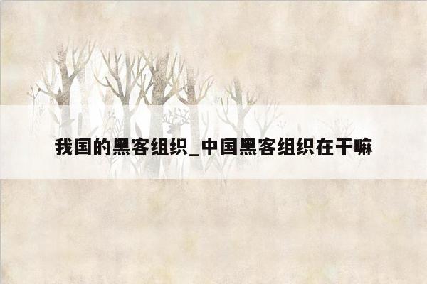 我国的黑客组织_中国黑客组织在干嘛