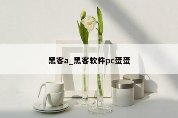 黑客a_黑客软件pc蛋蛋