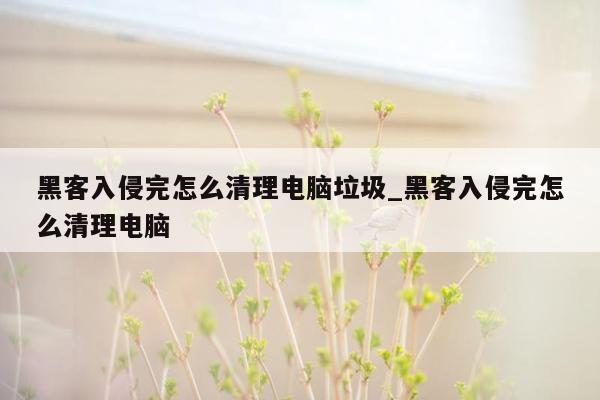 黑客入侵完怎么清理电脑垃圾_黑客入侵完怎么清理电脑