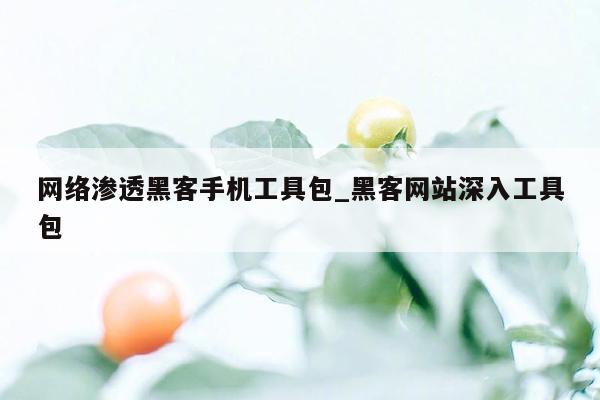 网络渗透黑客手机工具包_黑客网站深入工具包