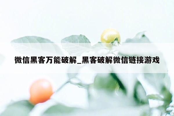 微信黑客万能破解_黑客破解微信链接游戏