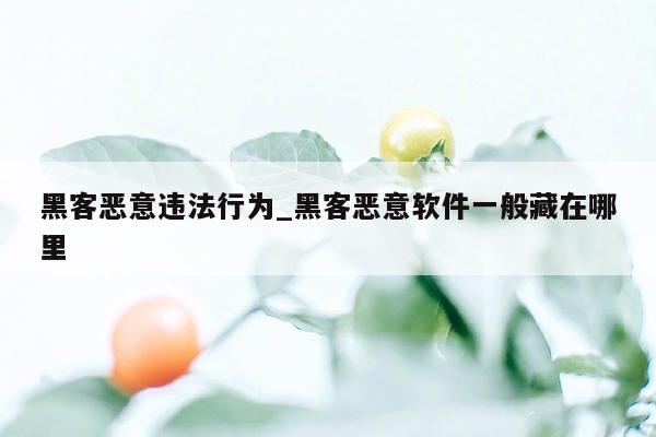 黑客恶意违法行为_黑客恶意软件一般藏在哪里