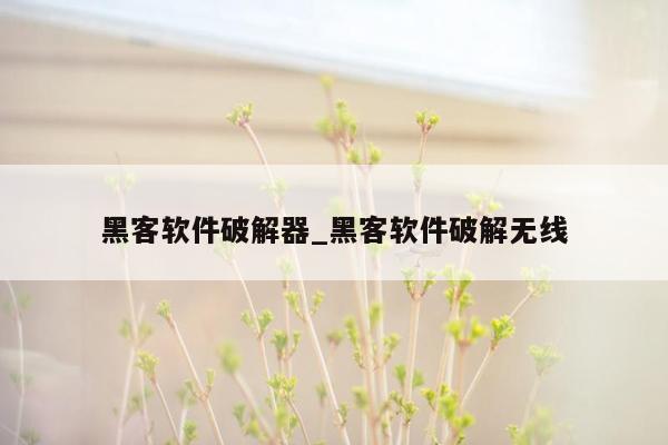 黑客软件破解器_黑客软件破解无线