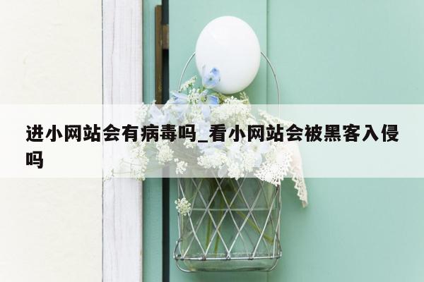 进小网站会有病毒吗_看小网站会被黑客入侵吗