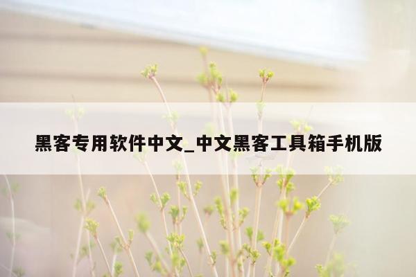 黑客专用软件中文_中文黑客工具箱手机版