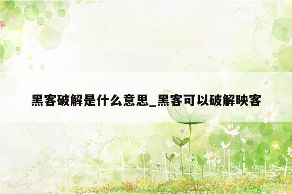 黑客破解是什么意思_黑客可以破解映客