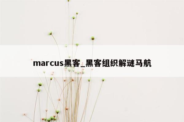 marcus黑客_黑客组织解谜马航