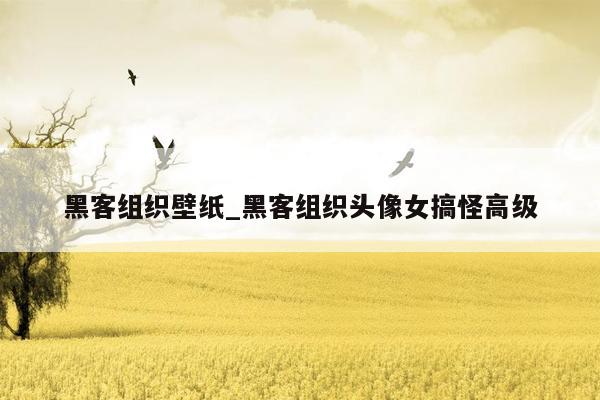 黑客组织壁纸_黑客组织头像女搞怪高级