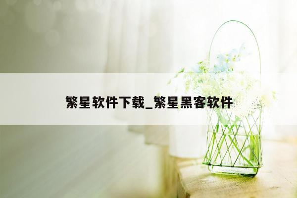 繁星软件下载_繁星黑客软件