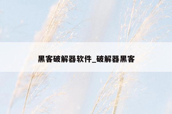 黑客破解器软件_破解器黑客