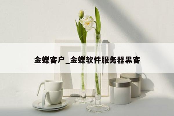 金蝶客户_金蝶软件服务器黑客