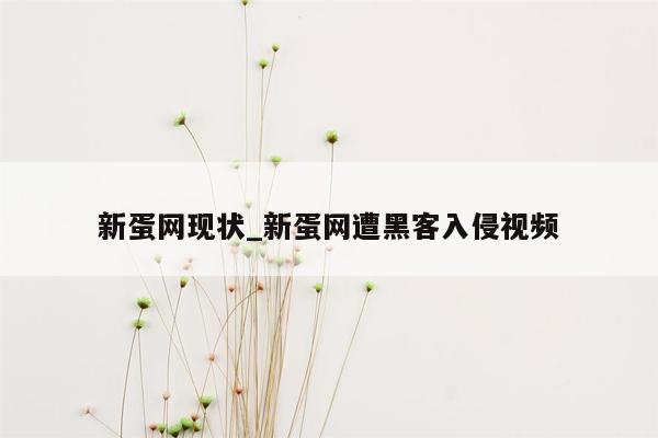 新蛋网现状_新蛋网遭黑客入侵视频