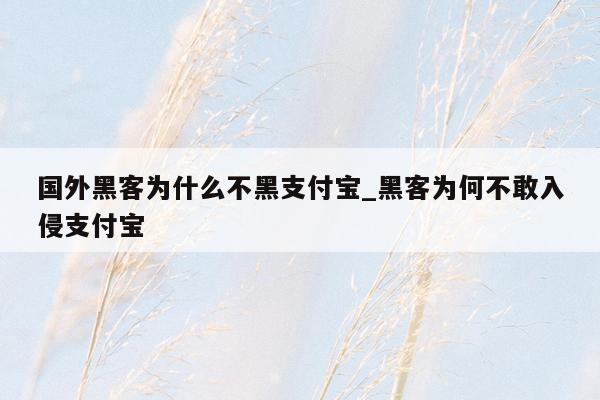 国外黑客为什么不黑支付宝_黑客为何不敢入侵支付宝